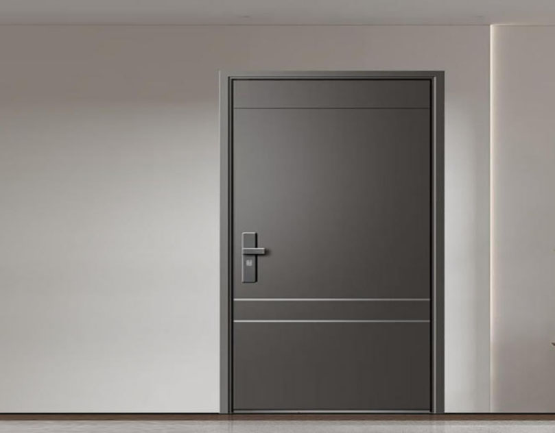 Steel Security Door